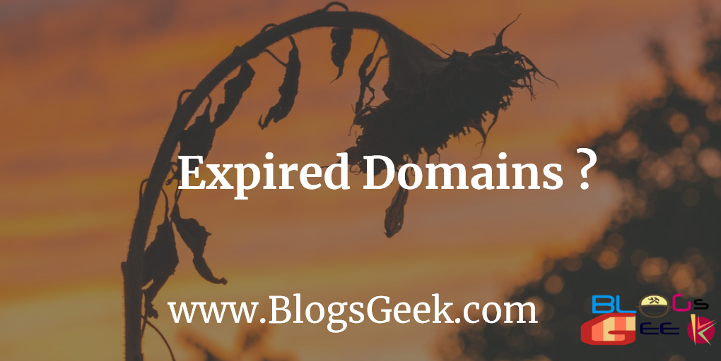 buy expired domains